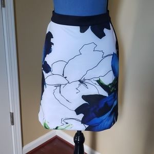 NWT Vibrant Multi Colored Pencil Short Ski…